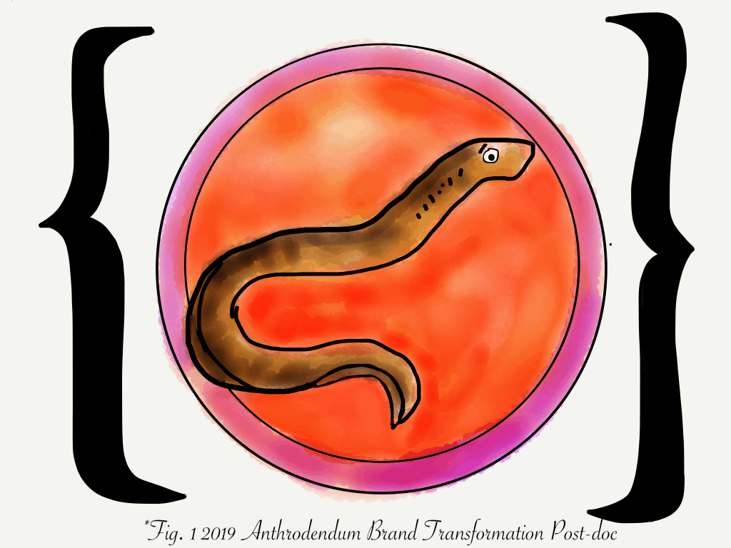 hand drawn image of a sea lamprey on a red, circular background with two large brackets on either side. Below, the text reads "Fig. 1 Anthrodendum Brand Transformation Post-doc"