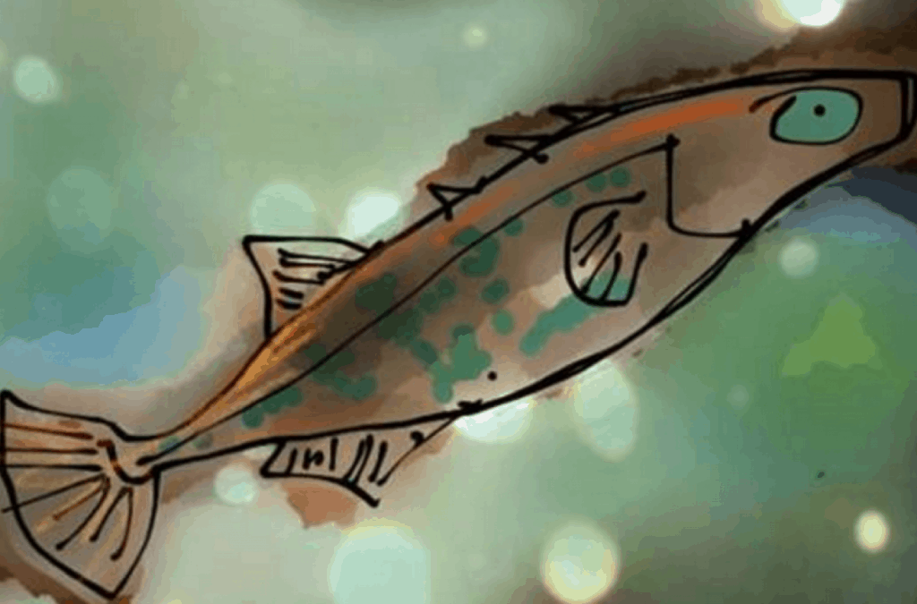 digital line drawing of a small stickleback fish