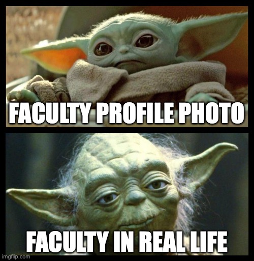 Meme with baby Yoda and Yoda from the original films. Baby Yoda is captioned "Faculty profile photo" whereas the older Yoda is captioned "Faculty in real life."