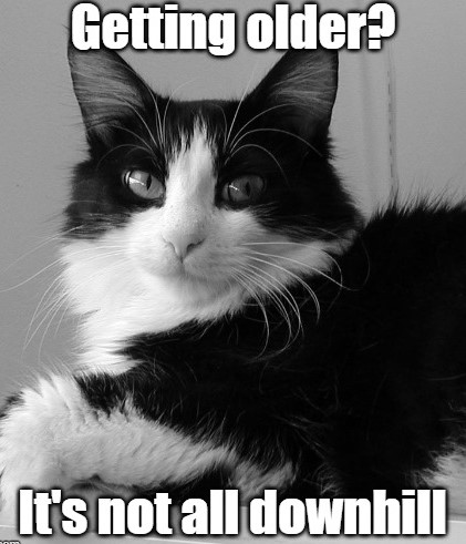 Meme with photo of black and white cat with the text “Getting older?” and “It’s not all downhill” 