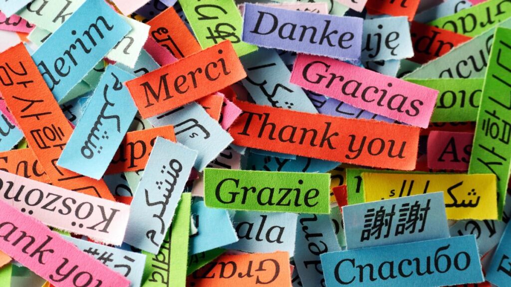 The phrase "thank you" written in different languages on multicolored scraps of paper.